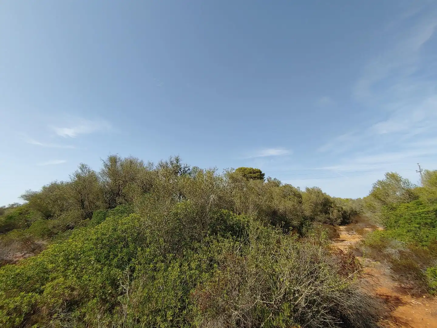 Residencial en venta en Polígono Parcela 12, Cala Pi - Vallgornera