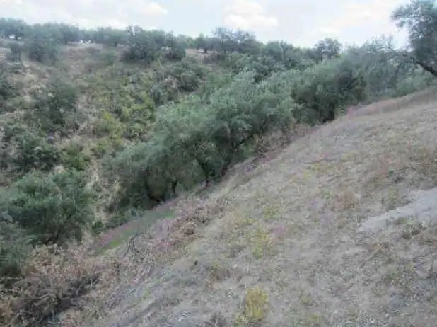 Residencial en venta en Almedinilla