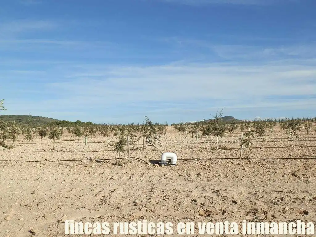 Rustikales Grundstück zum Verkauf in Jumilla, imagen 18