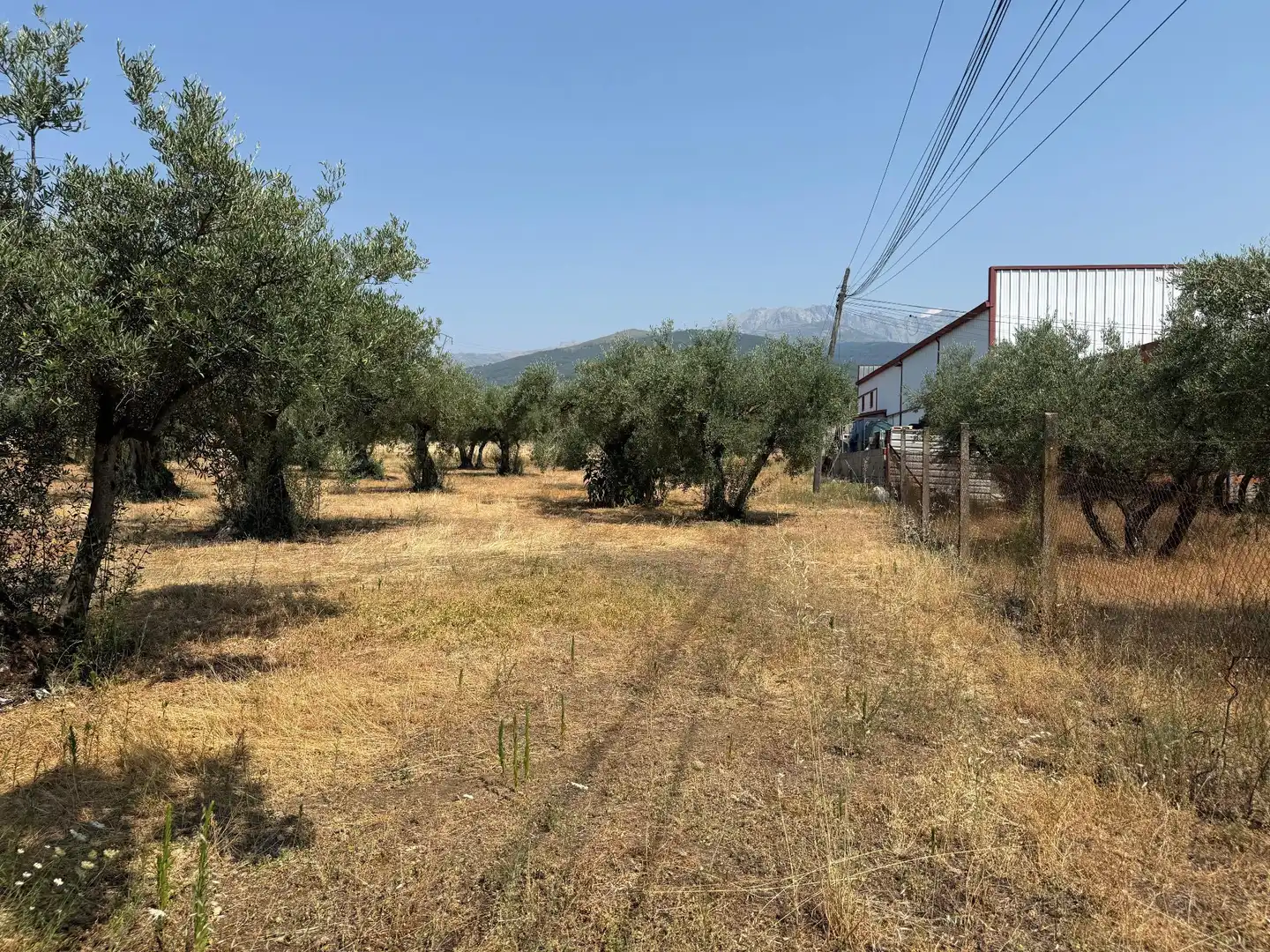 Terreni e lotti in vendita a Candeleda, imagen 5