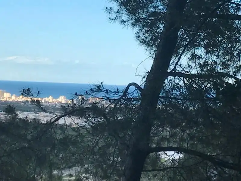 Terreny rústic en venda a La Font d'en Carròs, imagen 6