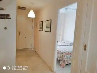 Piso con piscina en alquiler en Calle 1498 5, imagen 16