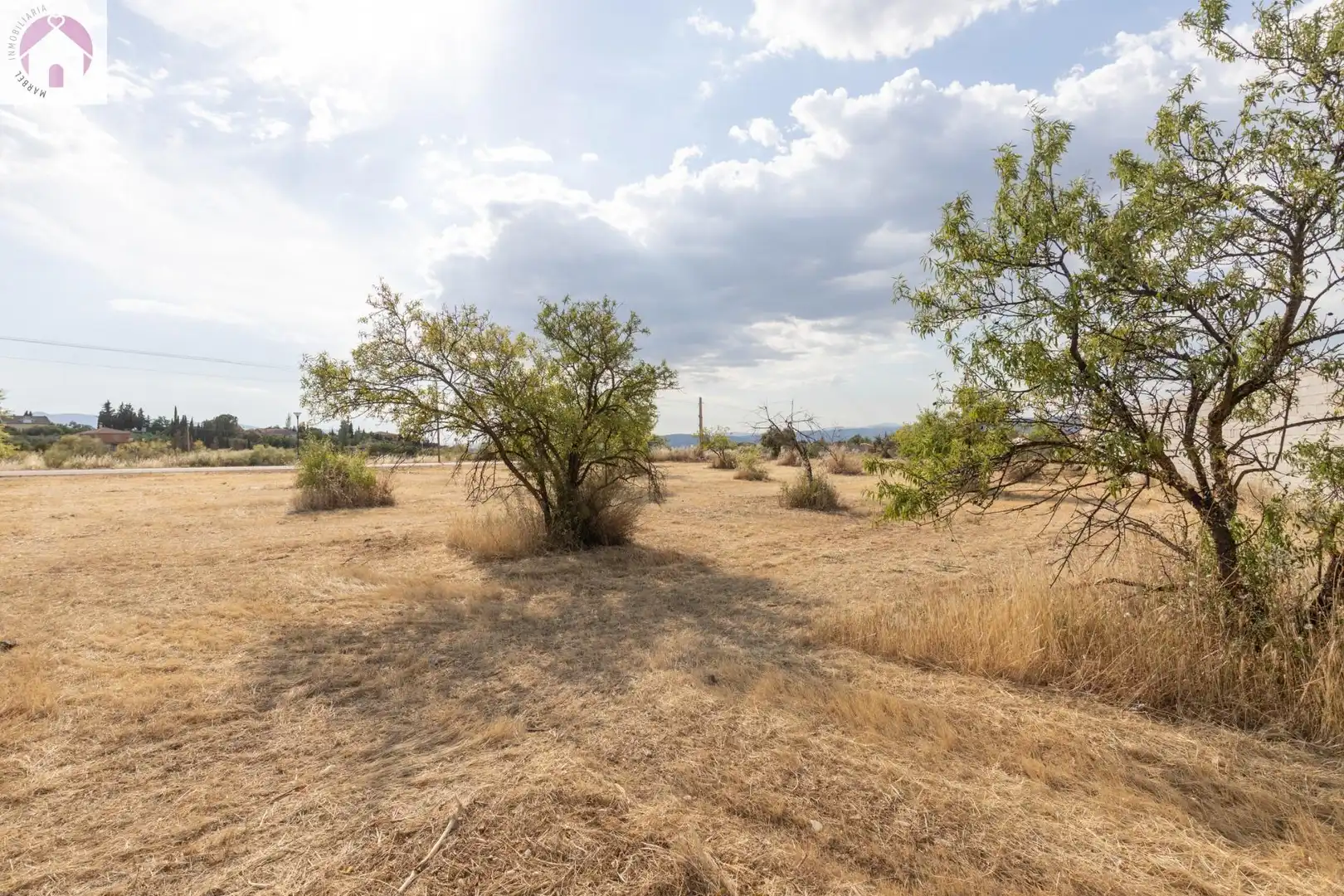 Rural land for sale in Moraleda de Zafayona, imagen 15