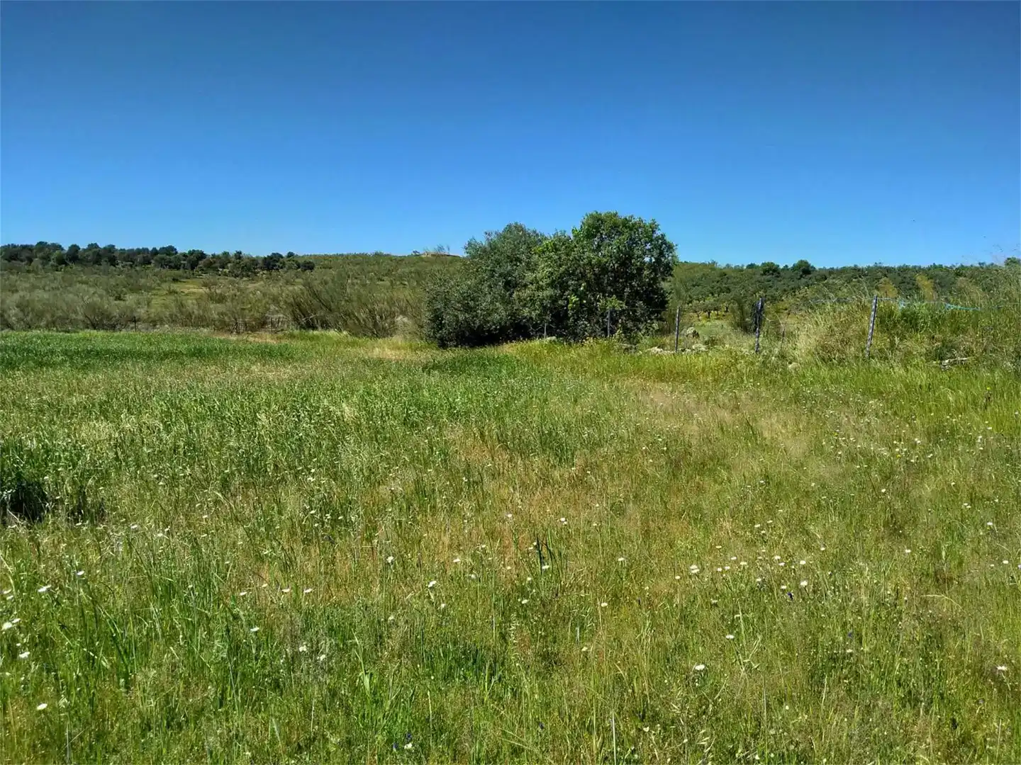 Grundstücke zum Verkauf in Calzadilla