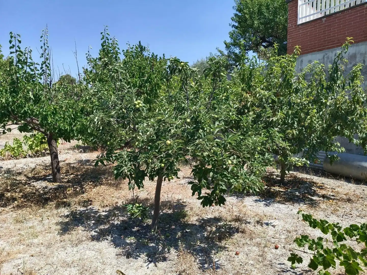 Casa o chalet en venta en Ontinyent con Jardín privado