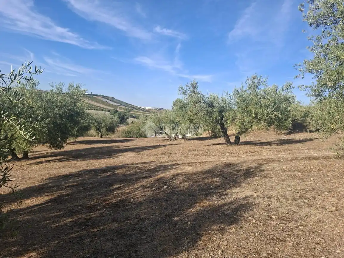 Terreny en venda en Montilla, Córdoba