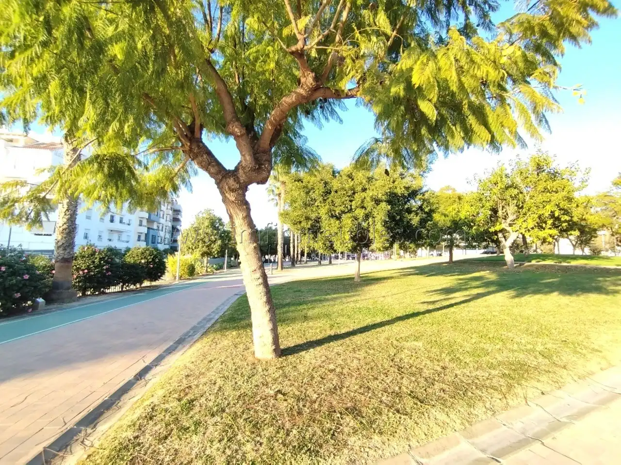 Vista exterior de Trastero en venta en Vélez-Málaga
