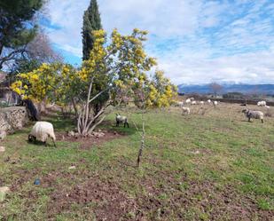 Garden of House or chalet for sale in Puentes Viejas  with Heating, Private garden and Terrace