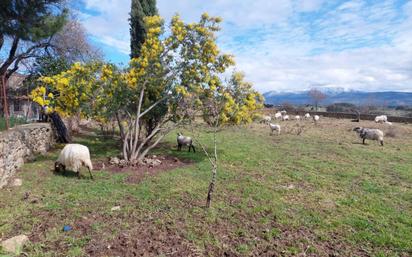 Jardí de Casa o xalet en venda en Puentes Viejas amb Calefacció, Jardí privat i Terrassa