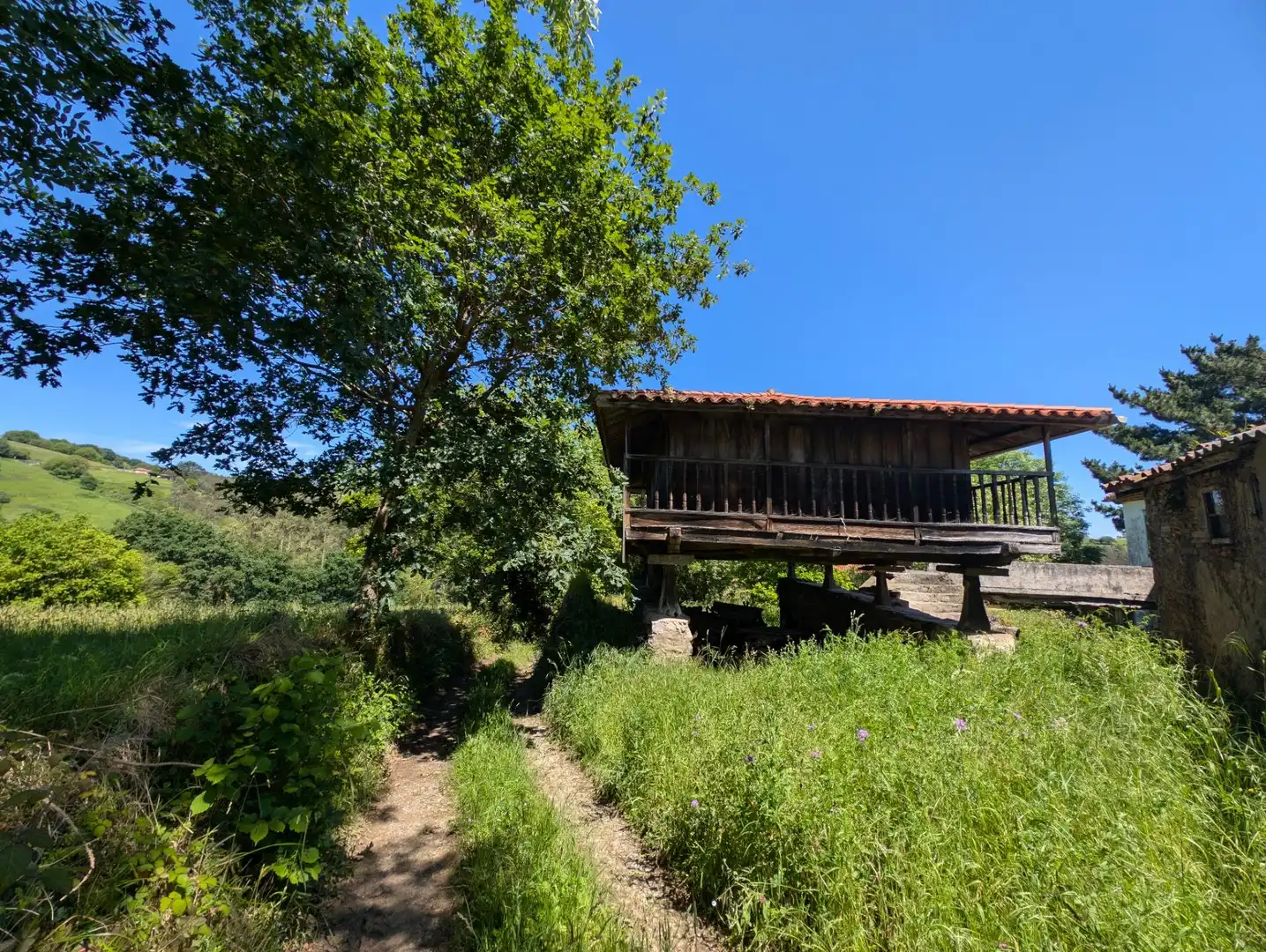 Vista exterior de Casa o chalet en venta en Salas con Jardín privado, Terraza y Trastero
