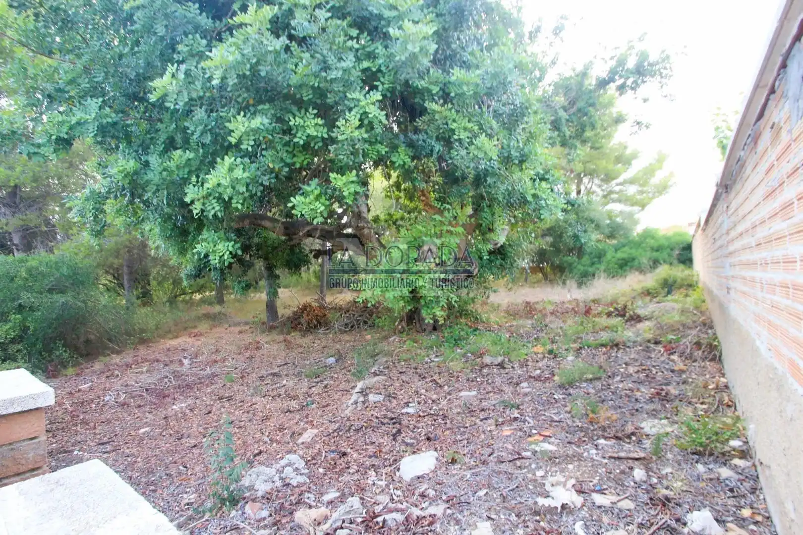 Terreny residencial en venda a Platja de Mont-roig, imagen 16