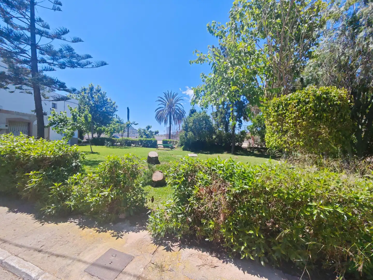 Jardí de Casa o xalet en venda en Cartagena amb Jardí privat, Terrassa i Moblat