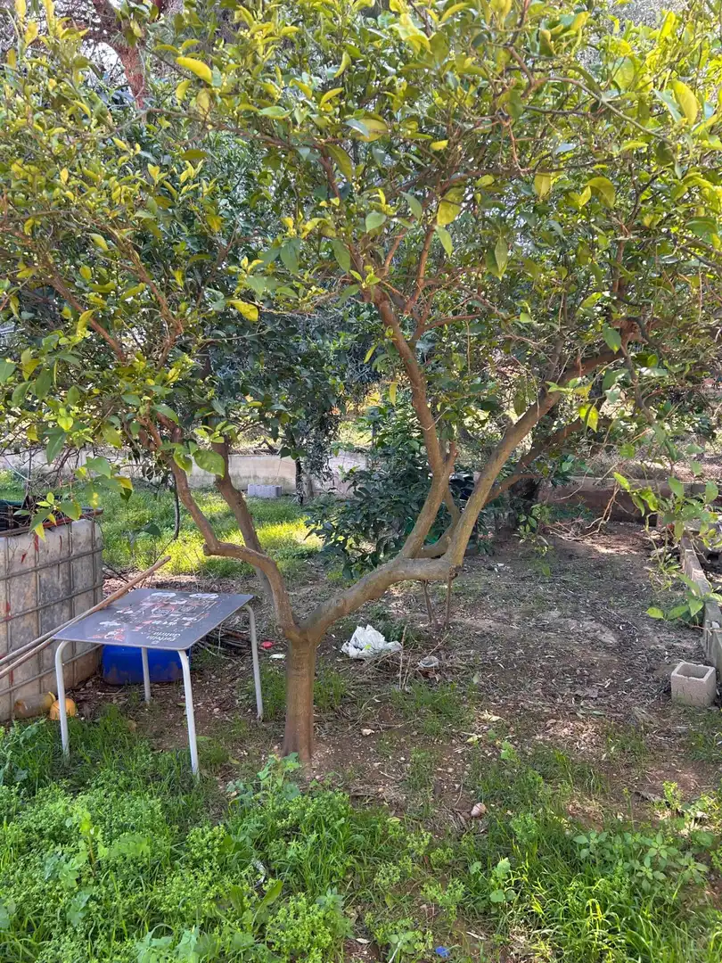 Chalet en venta en Calle PLA DE PAVIA, imagen 51