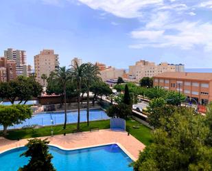 Piscina de Pis de lloguer en El Campello amb Jardí privat, Terrassa i Piscina comunitària