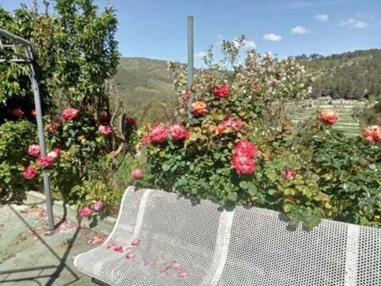 Garden of Houses for sale in Alcoy / Alcoi  with Terrace