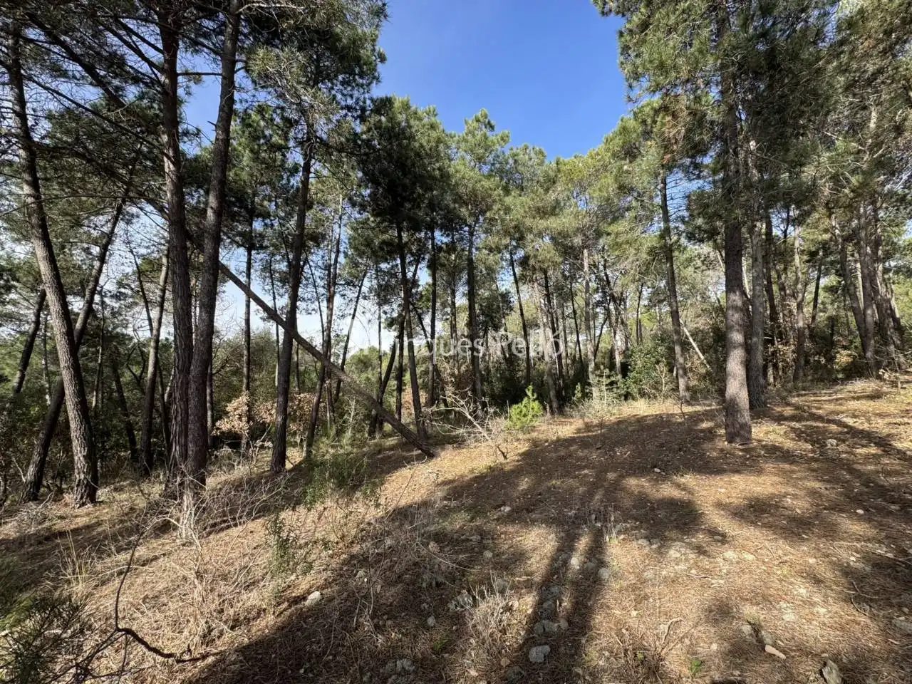 Finca rústica en venda en Tordera amb Jardí privat i Terrassa