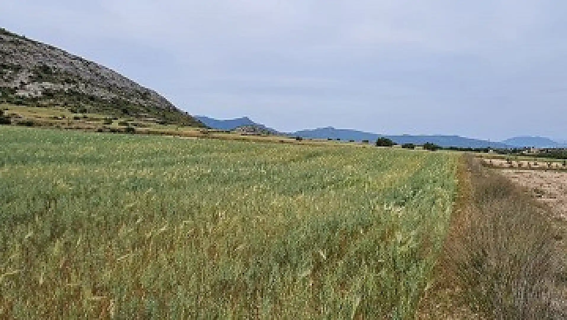 Xalet en venda a Jumilla, imagen 20