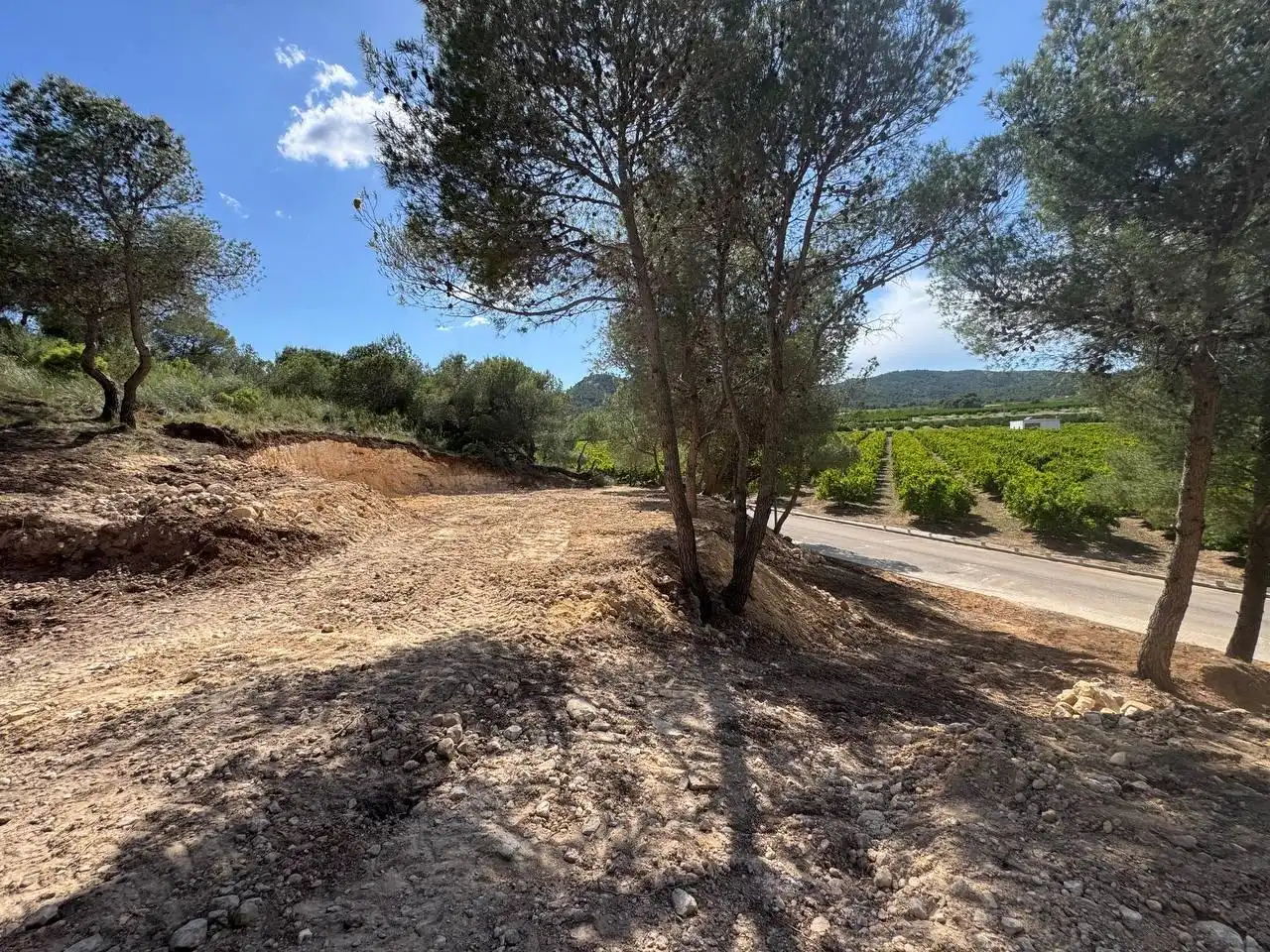 Lands and plots for sale in Calle Calle Salzes, imagen 14