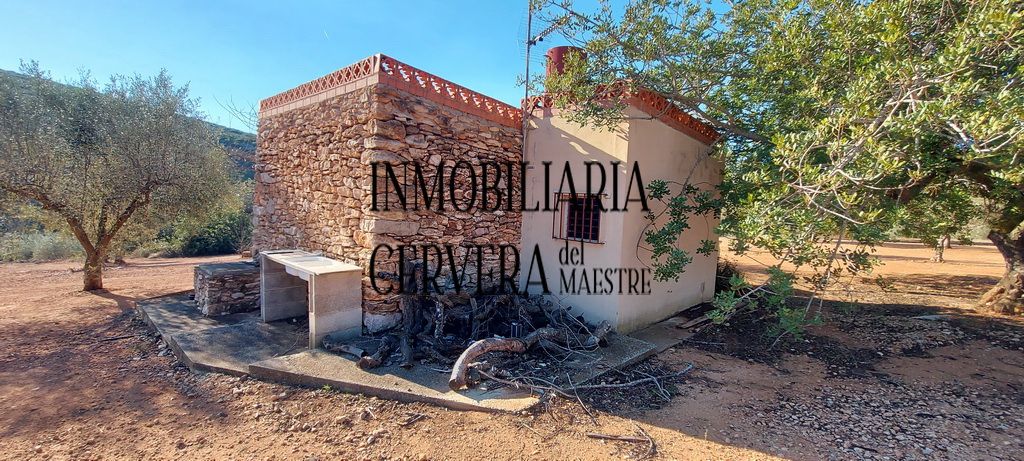 Vista exterior de Finca rústica en venda en Cervera del Maestre amb Terrassa