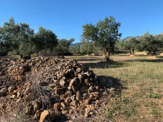 Landhaus zum Verkauf in Xerta, imagen 9