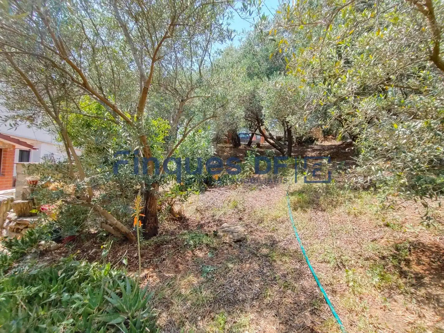Terrenos y solares en venta en Riudarenes, imagen 6