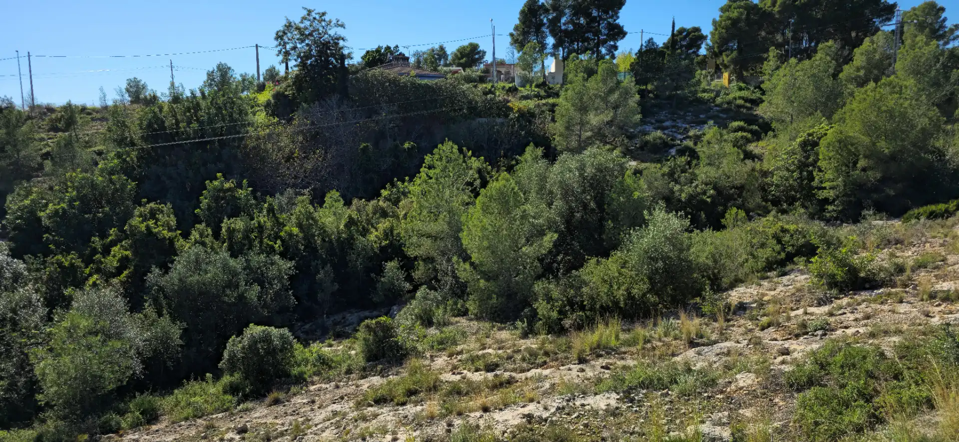 Wohnbaugrundstück zum Verkauf in Calle C/2 Lloma Molina 31, imagen 43