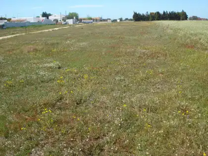Terreni e lotti in vendita a Vejer, imagen 8