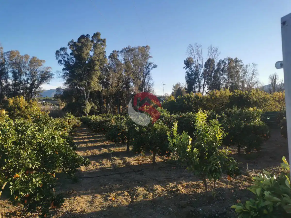 Terreno rústico en venta en Casalpalma - Fahala, imagen 7
