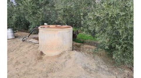 Foto 3 de Finca rústica en venta en Carretera Benamaurel, 16, Baza, Granada
