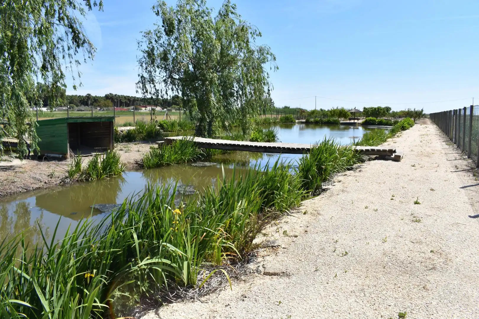 Finca rústica en venda a Eucaliptus - Poble Nou del Delta