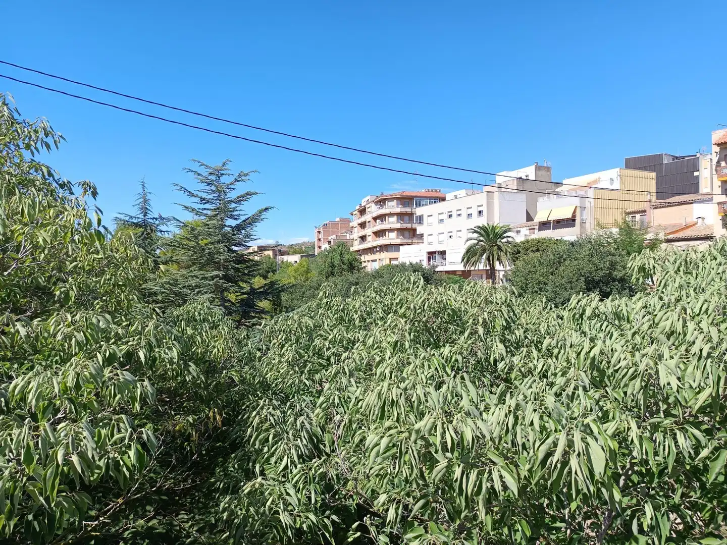 Vista exterior de Pis en venda en El Perelló amb Traster