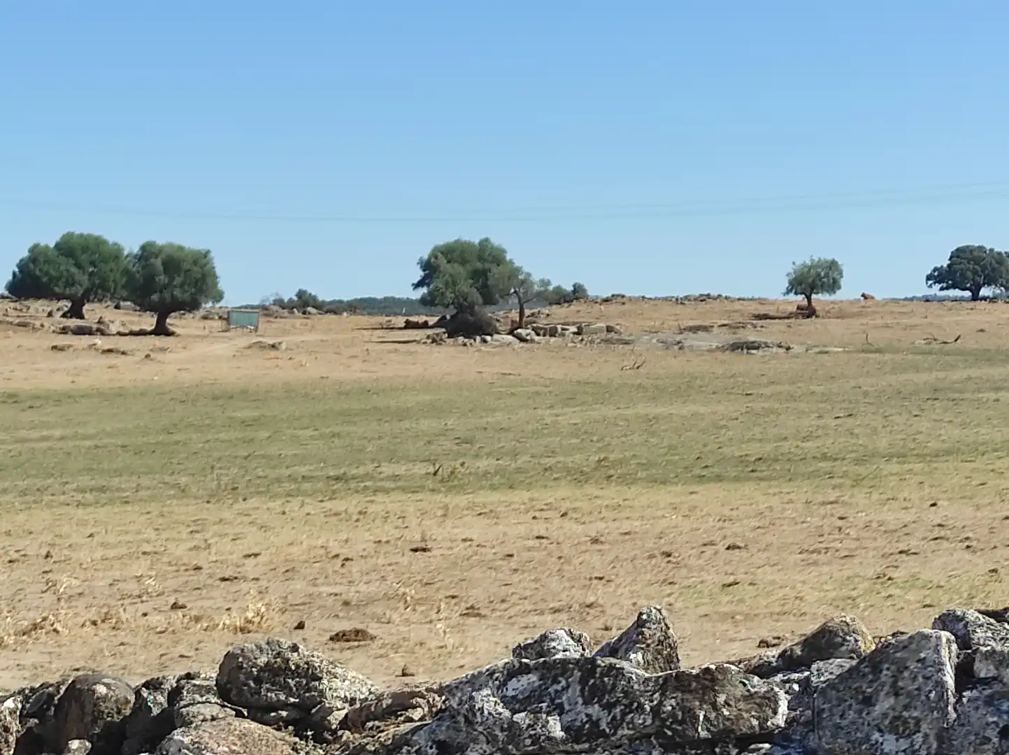 Terreny en venda en Ceclavín