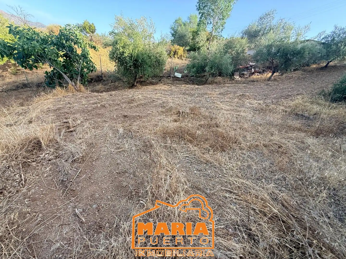 Terreno rustico in vendita a Almogía, imagen 23