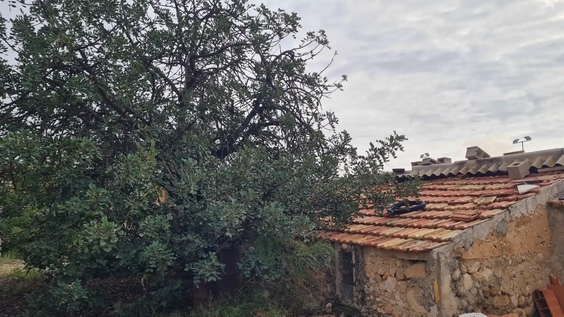 Casa o xalet en venda en Elche / Elx amb Jardí privat, Traster i Moblat