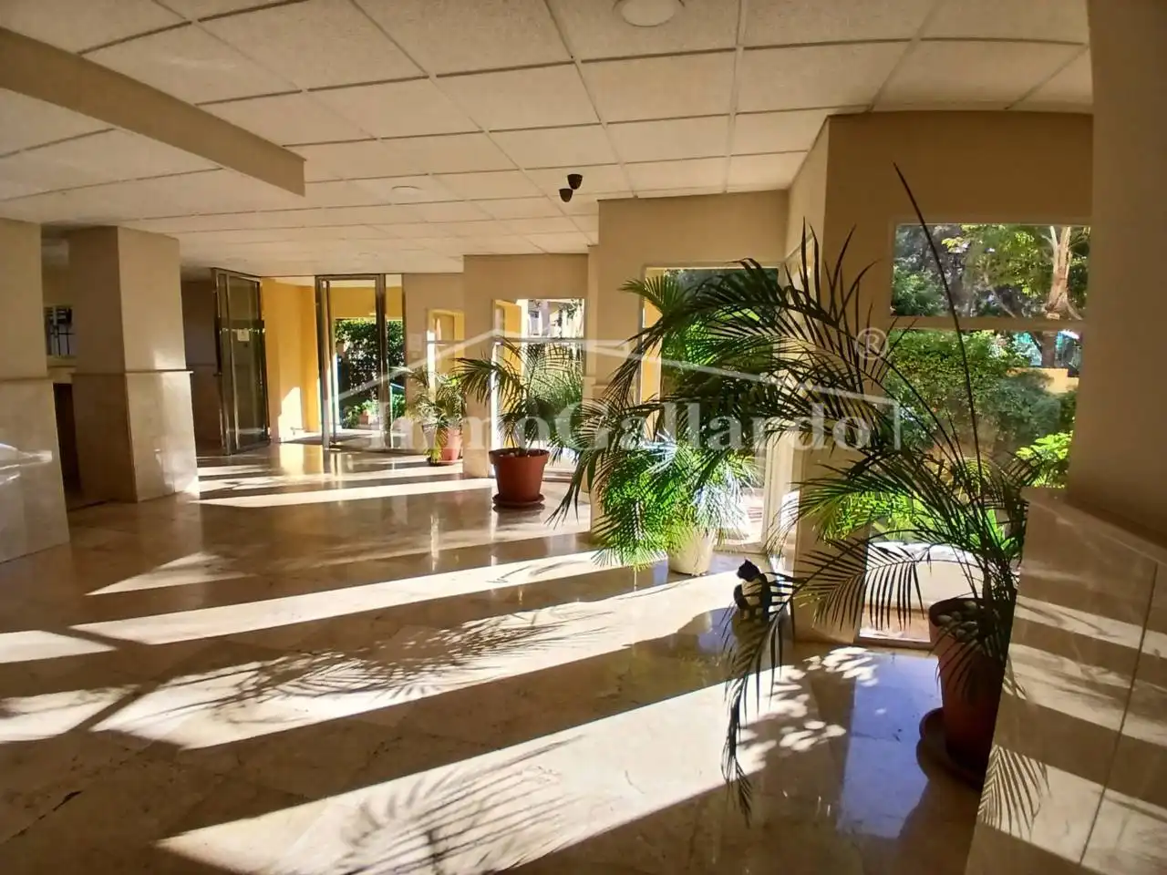Apartments for rent in El Candado