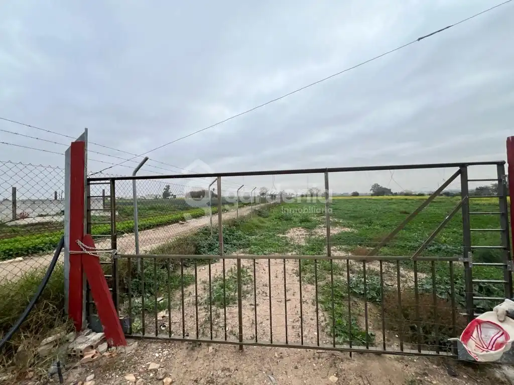 Terrenys i solars en venda a Sus-Dmn-04 Aeropuerto Vij, imagen 4