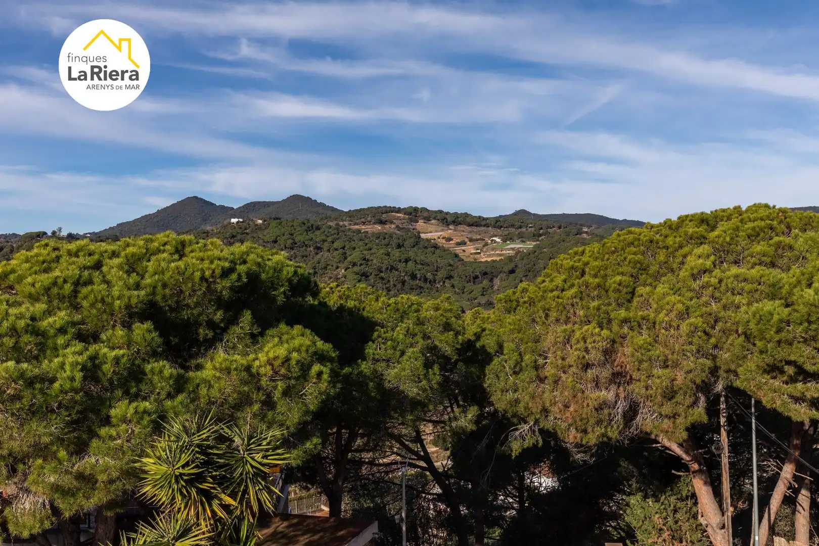 Vista exterior de Casa o xalet en venda en Arenys de Munt amb Aire condicionat, Jardí privat i Terrassa