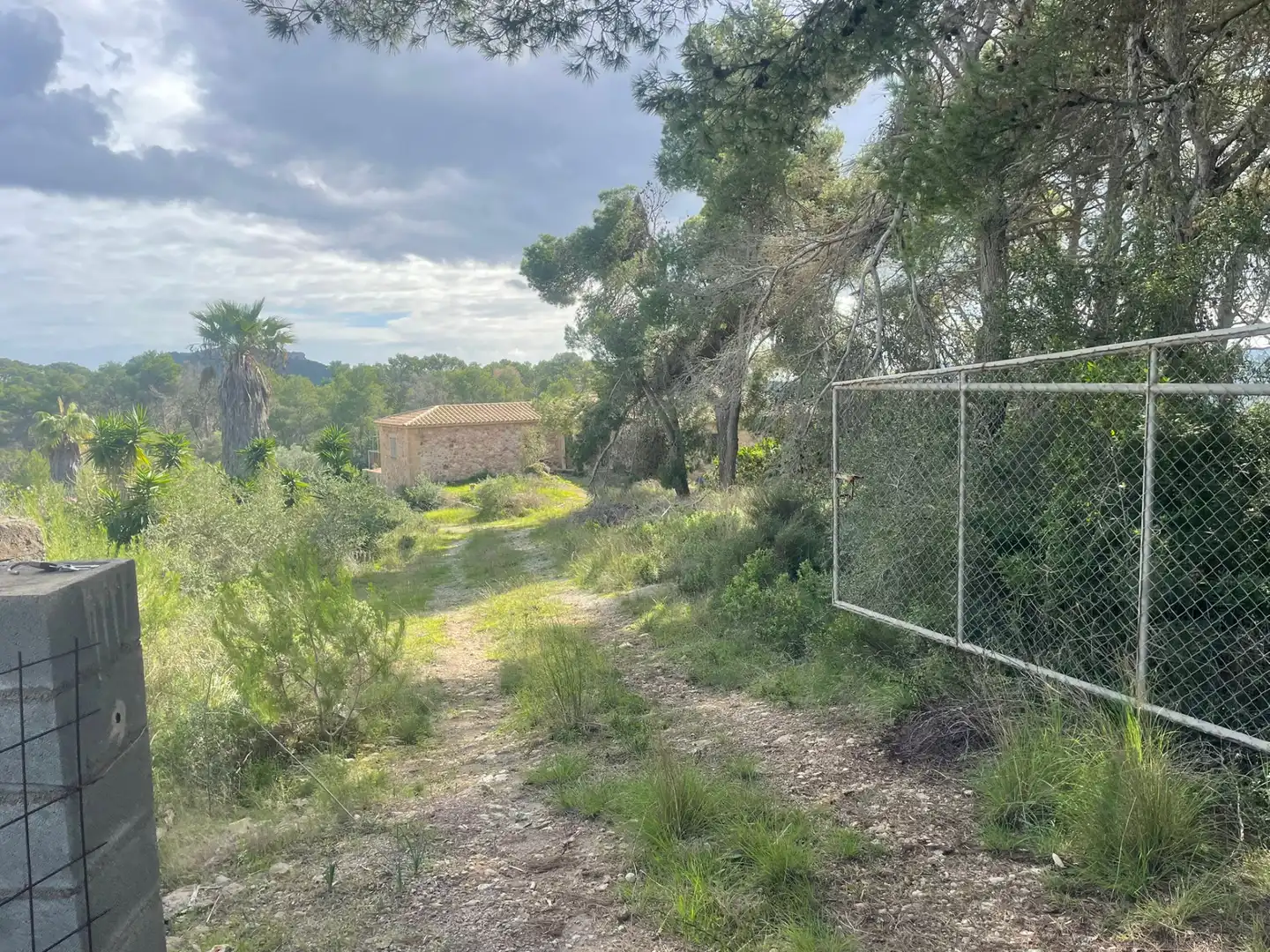 Casa amb jardí en venda a Manacor Centre, imagen 27