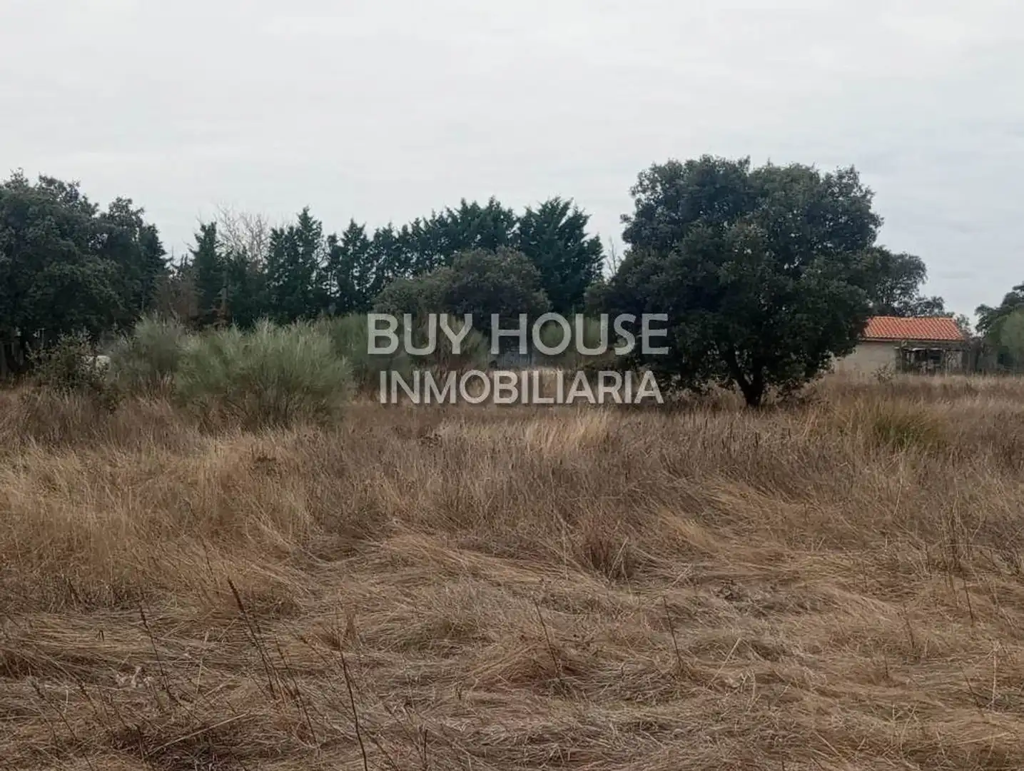Terreni e lotti in vendita a San Román de los Montes, imagen 2