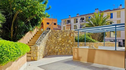Foto 5 de Ático de alquiler en La Calatrava, Palma de Mallorca
