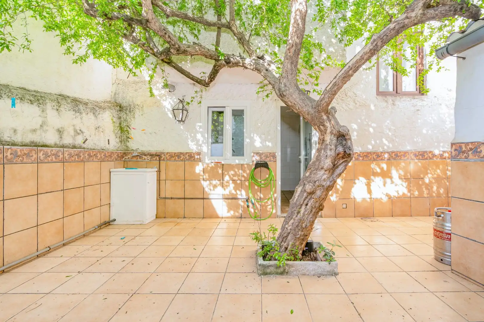 Jardín de Casa o chalet en venta en Cúllar Vega