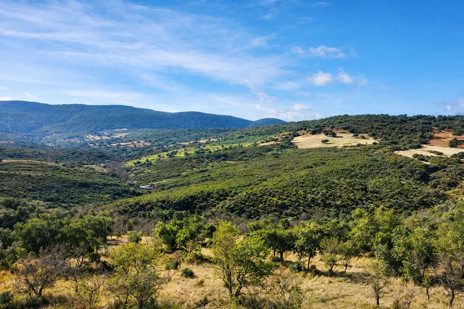 Terreno en venta en Los Navalucillos