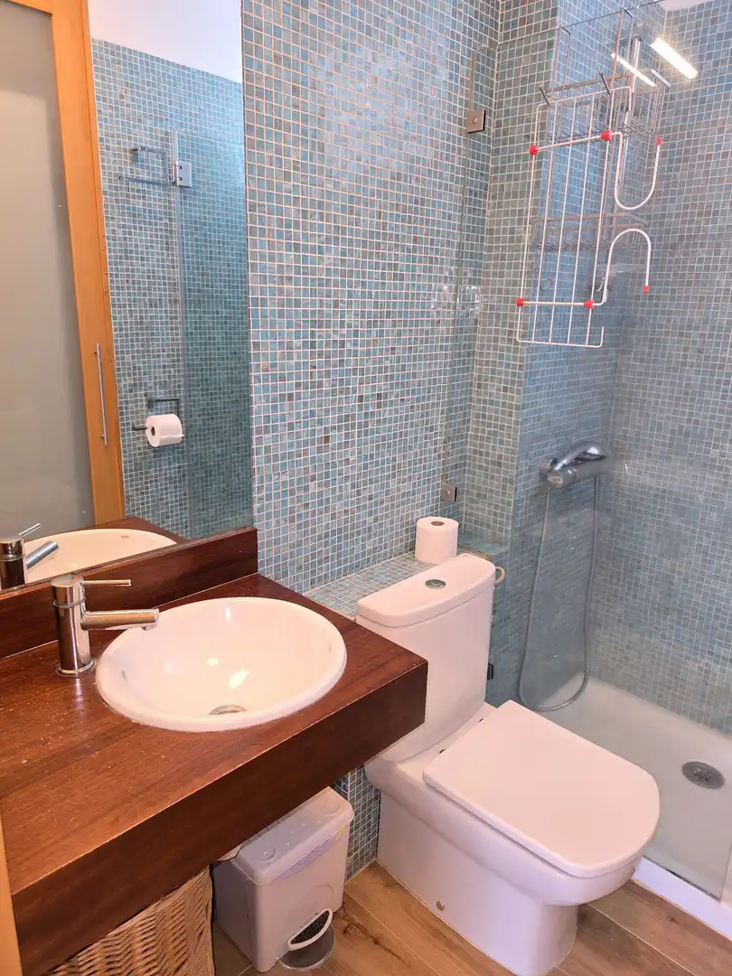 Bany de Apartament de lloguer en Tacoronte amb Terrassa