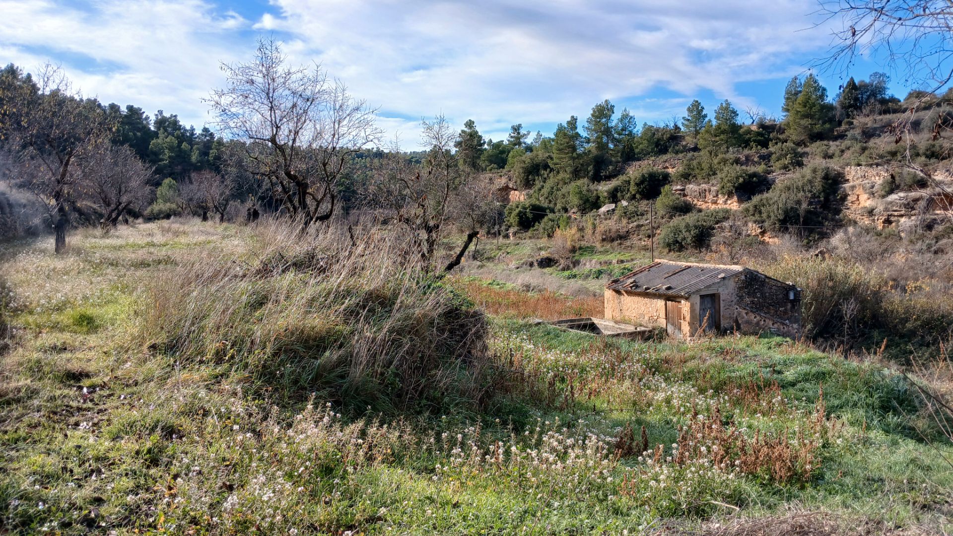 Land for sale in Valjunquera