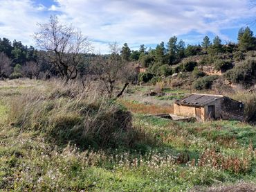 Terreno rustico in vendita a Camino Fuente 5