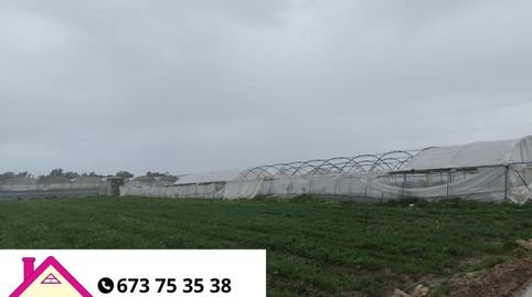 FINCA CON INVERNADERO EN CHIPIONA