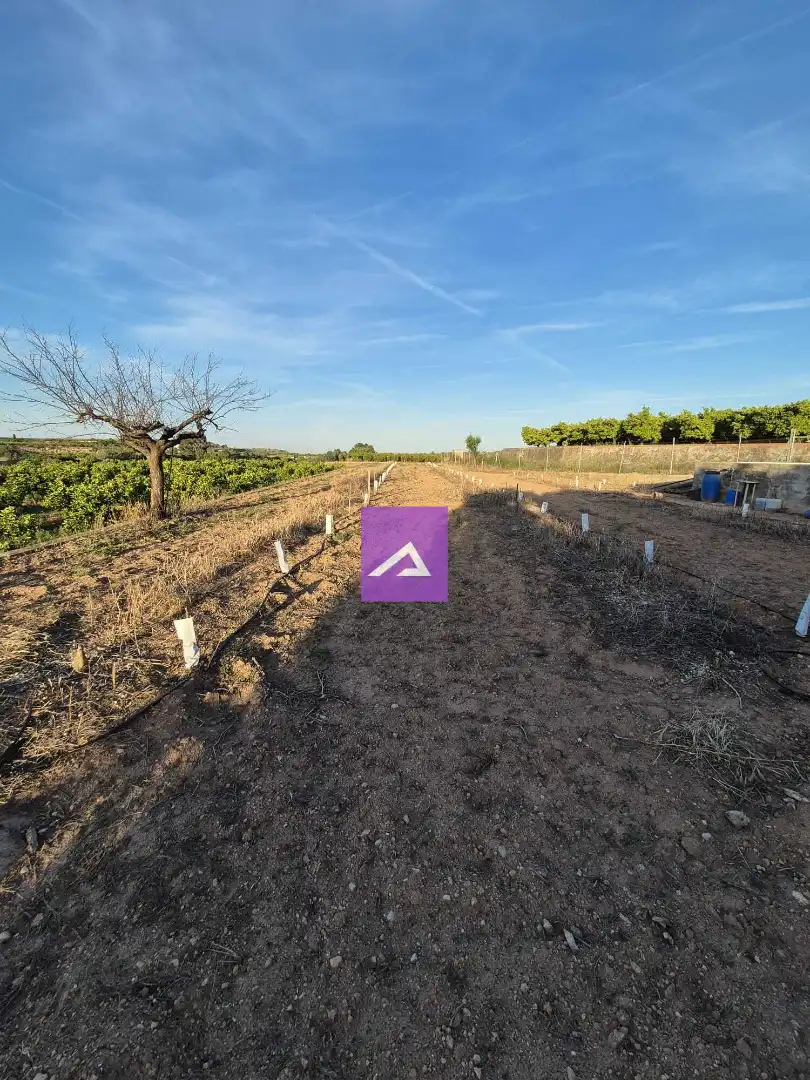 Land for sale in Picassent