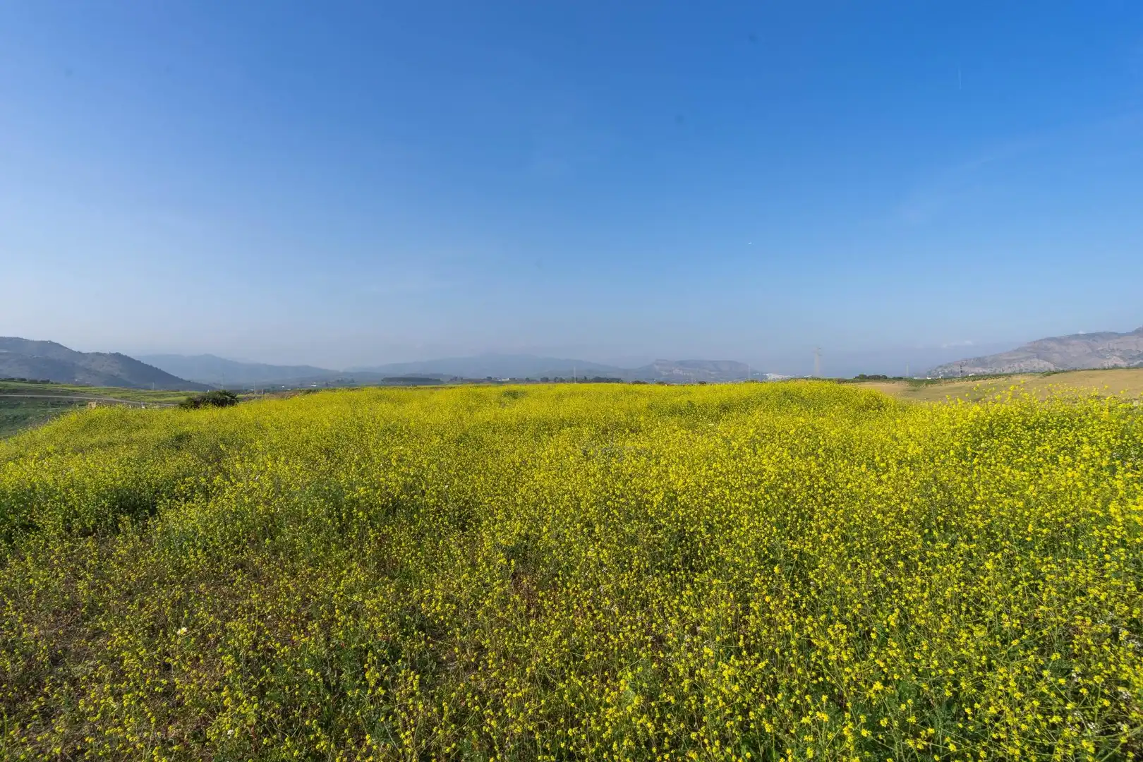 Rural land for sale in Casalpalma - Fahala, imagen 7