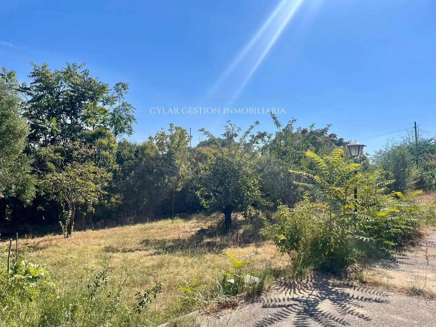 Rural land for sale in ALONDRA, imagen 10