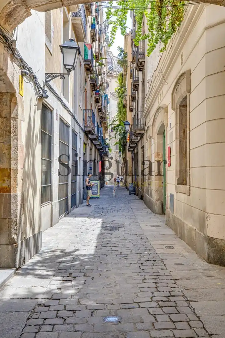Dúplex con ascensor en venta en Ciutat Vella, imagen 52